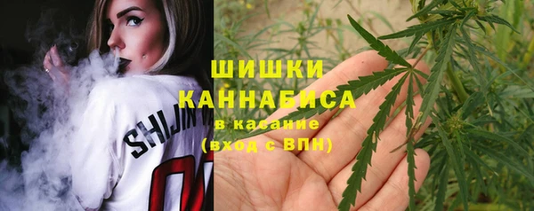 индика Балахна